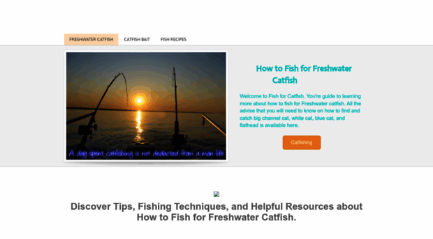 fishforcatfish.weebly.com