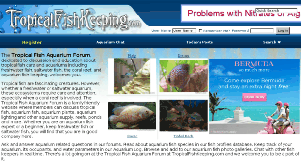 fishforum.com