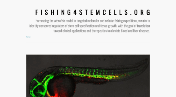 fishing4stemcells.org