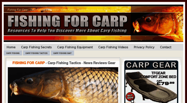 fishingforcarp.net