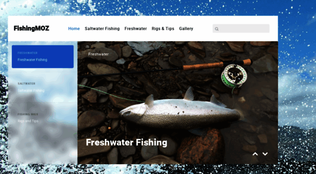 fishingmoz.com