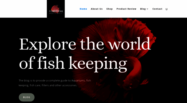 fishkeepingmadesimple.com