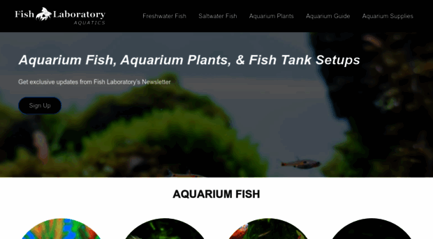 fishlaboratory.com