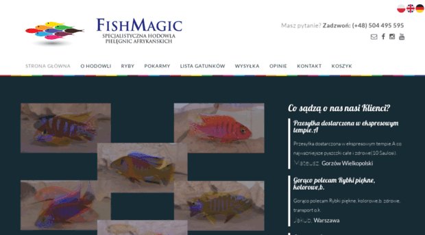 fishmagic.pl