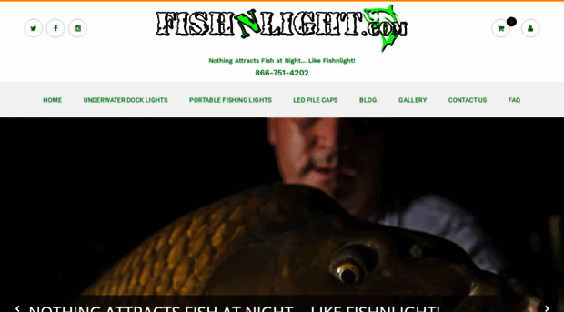 fishnlight.com