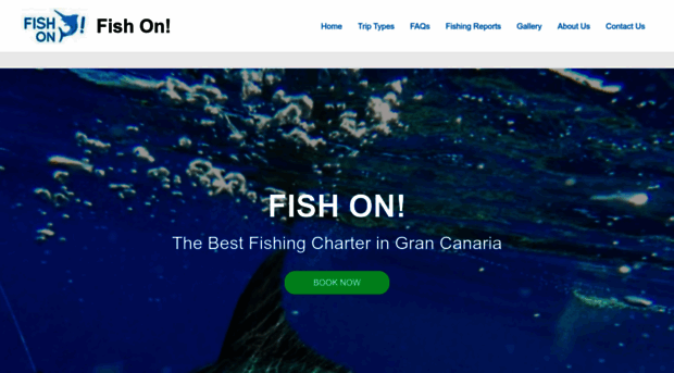 fishonbluemarlin.com