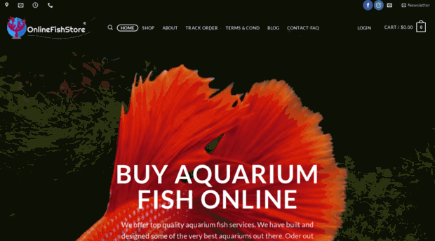 fishonlinestore.com