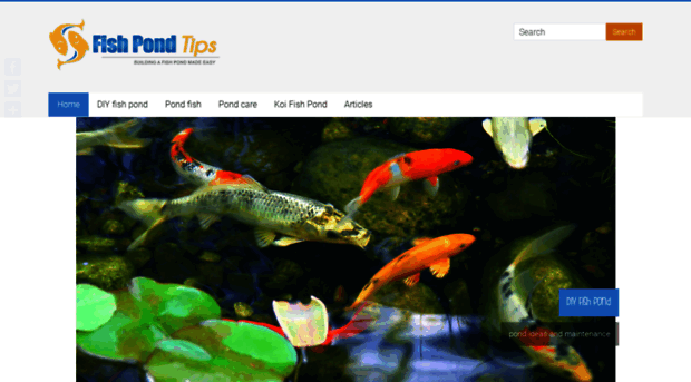 fishpondtips.com