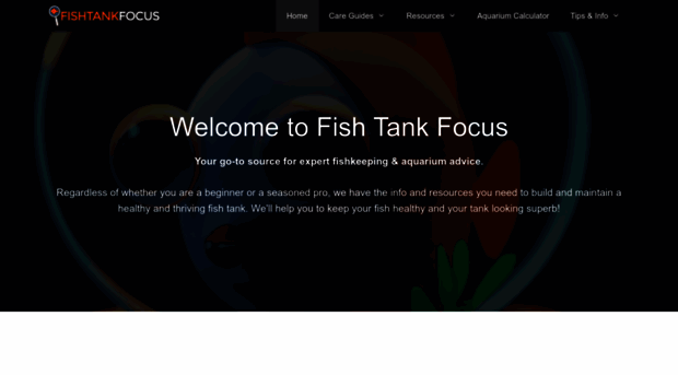 fishtankfocus.com