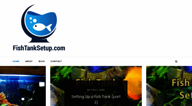 fishtanksetup.com