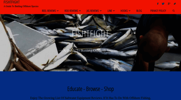 fishtfight.com