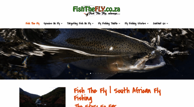 fishthefly.co.za