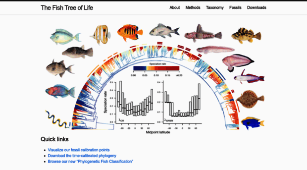 fishtreeoflife.org