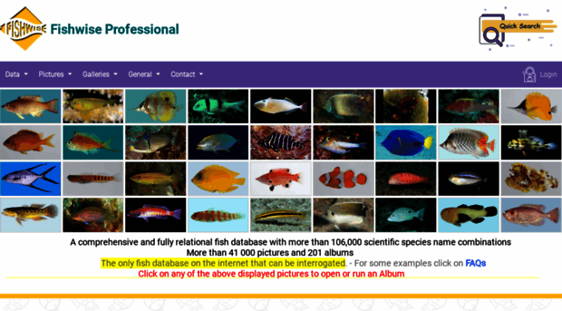 fishwisepro.com