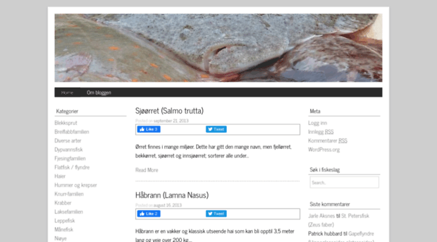 fiskeslag.com