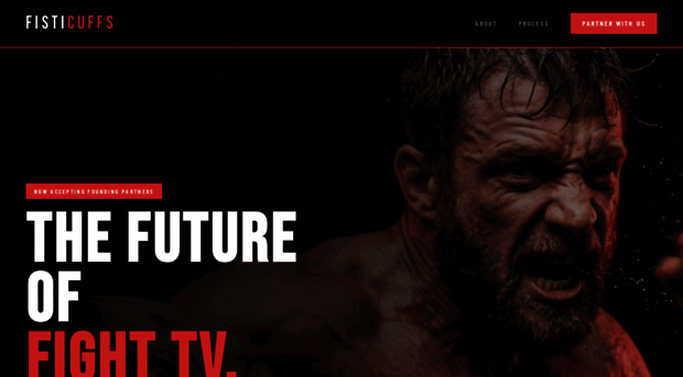 fisticuffs.tv