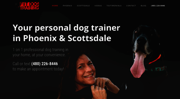 fitdogtraining.com