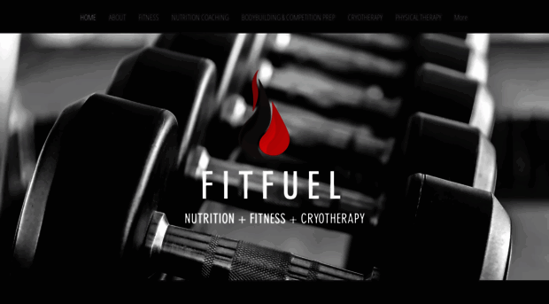 fitfuelnutritionllc.com