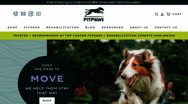 fitpaws.com