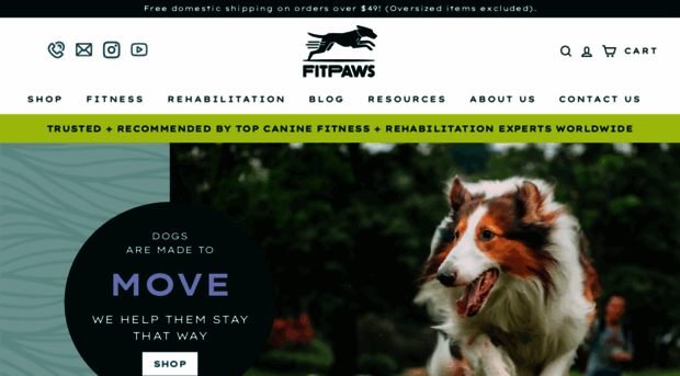 fitpawsusa.com