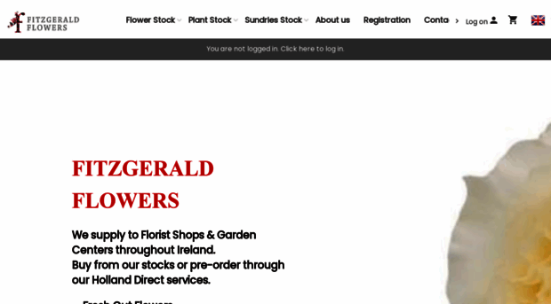 fitzgeraldflowers.ie