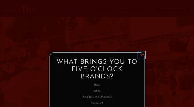 fiveoclockbrands.com