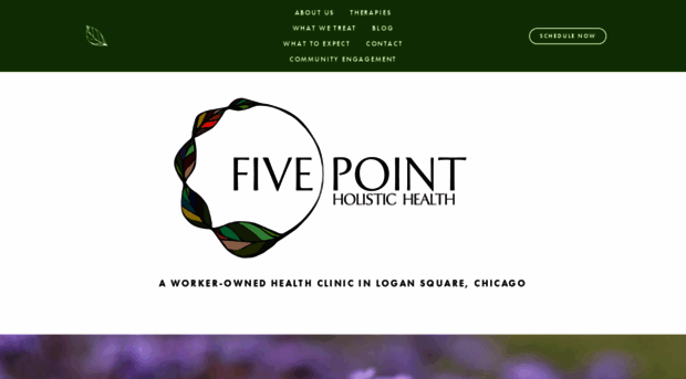 fivepointholistichealth.com