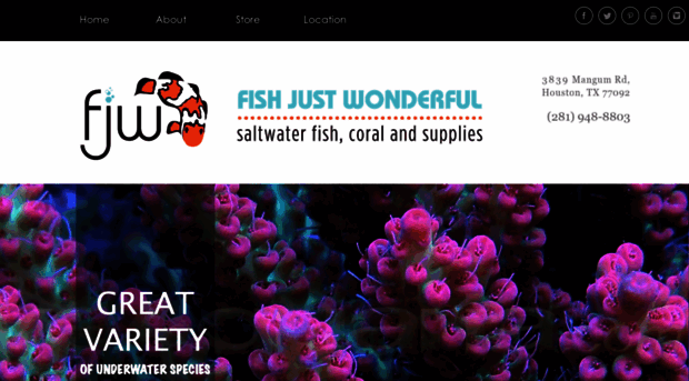 fjwaquarium.com