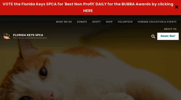 fkspca.org