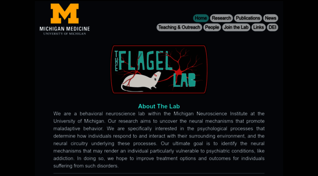 flagellab.com