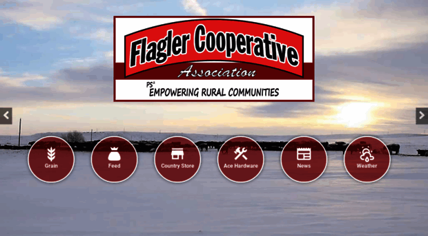 flaglercoop.com