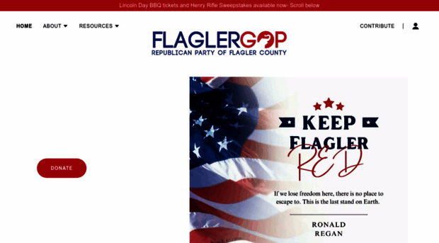 flaglergop.com