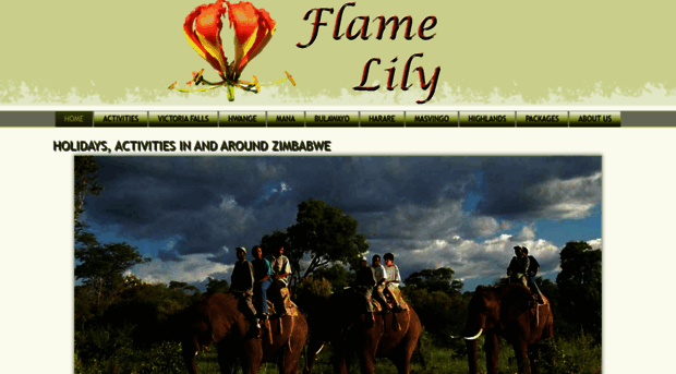 flamelily.co.za