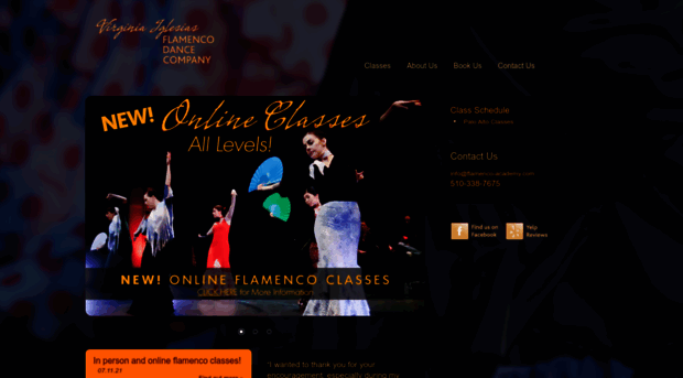 flamenco-academy.com