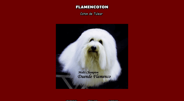 flamencoton.com