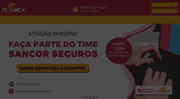 flamexnet.com.br