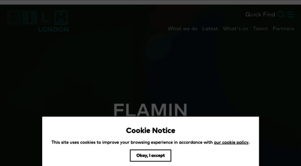 flamin.filmlondon.org.uk