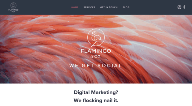 flamingoand.co