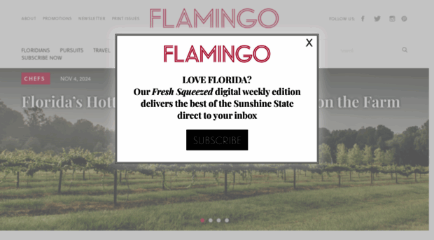 flamingomag.com