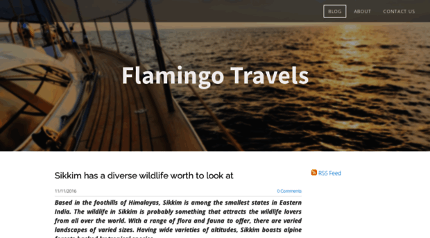 flamingotransworld.weebly.com