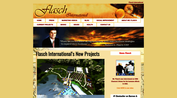 flaschinternational.com