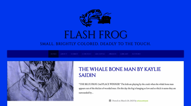 flash-frog.com