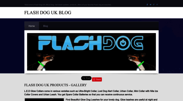 flashdogukblog.weebly.com