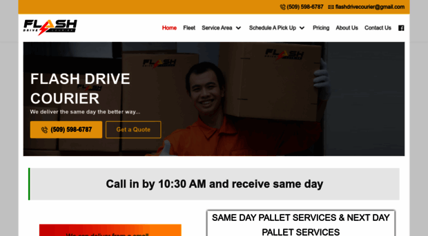 flashdrivecouriers.com