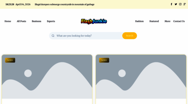 flashjunkie.co.uk