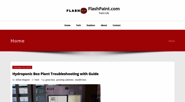 flashpaint.com