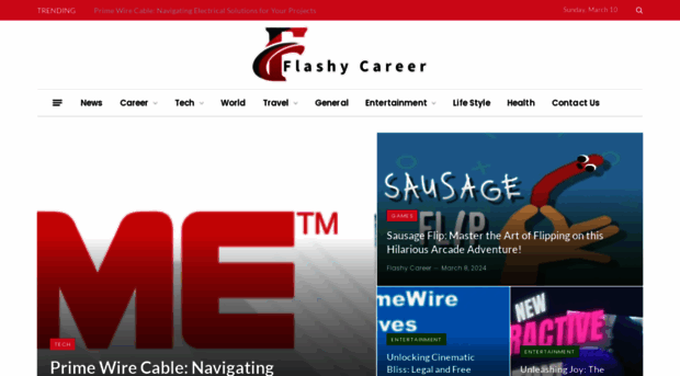 flashycareer.com