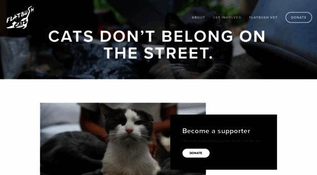 flatbushcats.org