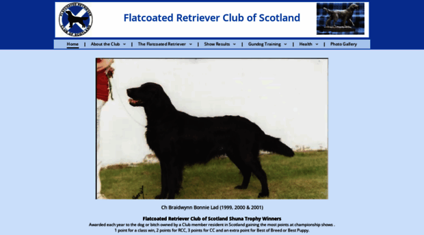 flatcoat-scotland.com