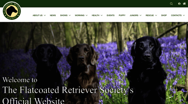 flatcoated-retriever-society.org